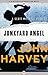 Junkyard Angel (The Scott Mitchell Mysteries Book 3)