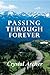 Passing Through Forever by Crystal Lynn Archer