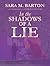 In the Shadows of a Lie (Cornwall & Company Mystery Book 2)