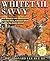 Whitetail Savvy: New Research and Observations about the Deer, America's Most Popular Big-Game Animal