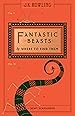 Image for Fantastic Beasts and Where to Find Them