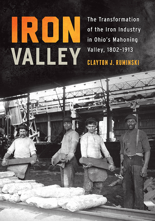 Iron Valley: The Transformation of the Iron Industry in Ohio's Mahoning Valley, 1802–1913 (Trillium Books)