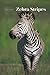 Zebra Stripes
