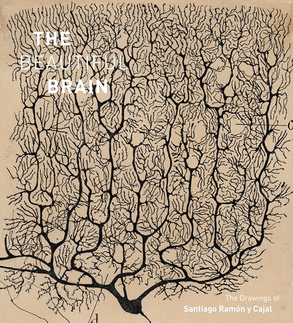 The Beautiful Brain: The Drawings of Santiago Ramon y Cajal