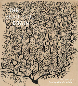The Beautiful Brain: The Drawings of Santiago Ramon y Cajal (Hardcover)