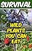 Survival: Wild Plants You C...