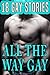 All the Way Gay: 18 Stories First Time Bundle Collection