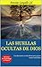 Las huellas ocultas de Dios (Spanish Edition)