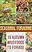 Seasonal Foraging by Nathan Hill