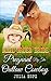 Pregnant By The Outlaw Cowboy (Mail Order Bride)