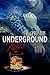 Underground Race (Underground Series Book 2)