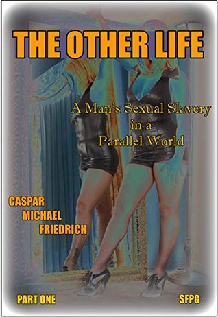 The Other Life - Part One of Two: A Man’s Sexual Slavery in a Parallel World (Kindle Edition)