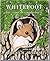 Whitefoot: The Story of a Wood Mouse