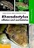Rhacodactylus ciliatus und auriculatus: Pflege und Vermehrung