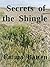 Secrets of the Shingle: A Dungeness Mystery (The Dungeness Saga Book 1)