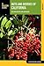 Nuts and Berries of California: Tips and Recipes for Gatherers (Nuts and Berries Series)