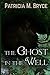 The Ghost in the Well