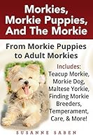 fosters morkies