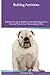 Bulldog Activities by Christopher Bailey