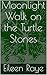 Moonlight Walk on the Turtle Stones by Eileen Raye