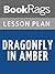 Lesson Plan Dragonfly in Amber by Diana Gabaldon
