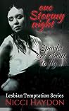 One Stormy Night (Lesbian Temptation Book 2)