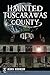 Haunted Tuscarawas County (Haunted America)