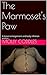 The Marmoset's Paw: A breast enlargement and body inflation erotica
