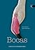 Bocas. Animales extraordinarios (Animales Extraordinarios / Extraordinary Animals) (Spanish Edition)
