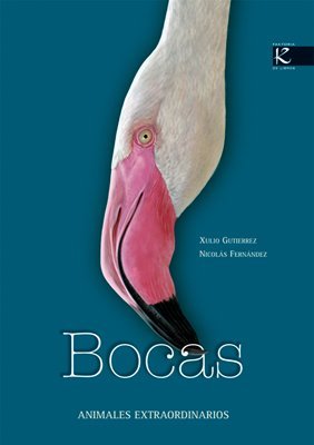 Bocas. Animales extraordinarios (Animales Extraordinarios / Extraordinary Animals) (Spanish Edition)