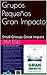 Grupos Pequeños Gran Impacto: Small Groups Great Impact (Spanish Edition)