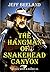 The Hangman of Snakehead Canyon: Bounty Hunter # 8