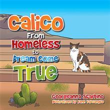 Calico: From Homeless to Dream Come True (Paperback)