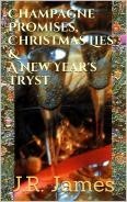 Champagne Promises, Christmas Lies & A New Year's Tryst (Kindle Edition)