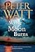 While the Moon Burns (Frontier, #11)