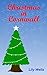 Christmas in Cornwall (a novella)