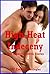 High Heat Indeceny: Five Explicit Erotica Stories