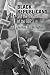 Black Republicans and the Transformation of the GOP (Politics and Culture in Modern America)
