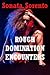 Rough Domination Encounters Five Hardcore BDSM Erotica Stories
