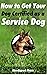 How to Get Your Dog Certifi...