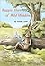 Baggsy Hare of Wild Meadow by Robert Clive