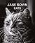 Jane Bown: Cats
