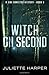 Witch on Second: A Jinx Hamilton Mystery Book 5 (The Jinx Hamilton Series)