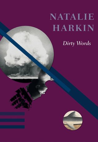 Dirty Words (Paperback)