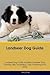 Landseer Dog Guide Landseer Dog Guide Includes: Landseer Dog Training, Diet, Socializing, Care, Grooming, Breeding and More