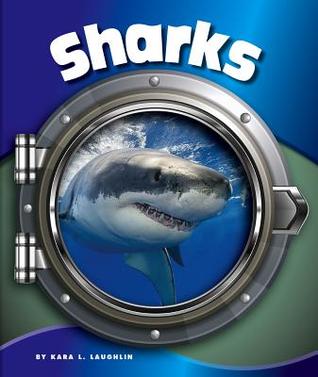 Sharks (ebook)