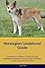 Norwegian Lundehund Guide N...