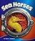 Sea Horses