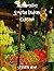 Authentic South Indian Cuisine