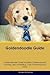 Goldendoodle Guide Goldendo...